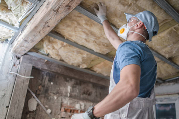 Best Geographic-Specific Insulation Services in Kenwood, OH